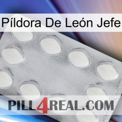 Píldora De León Jefe 16